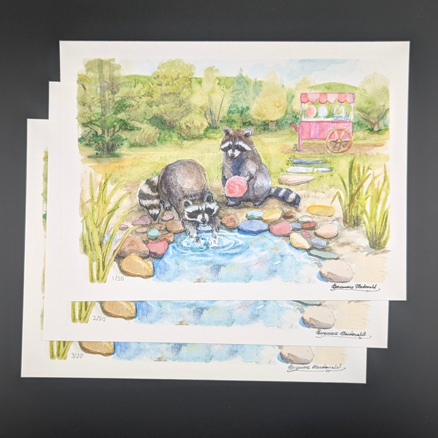 Washing Bear's Folly 6"x8" Print