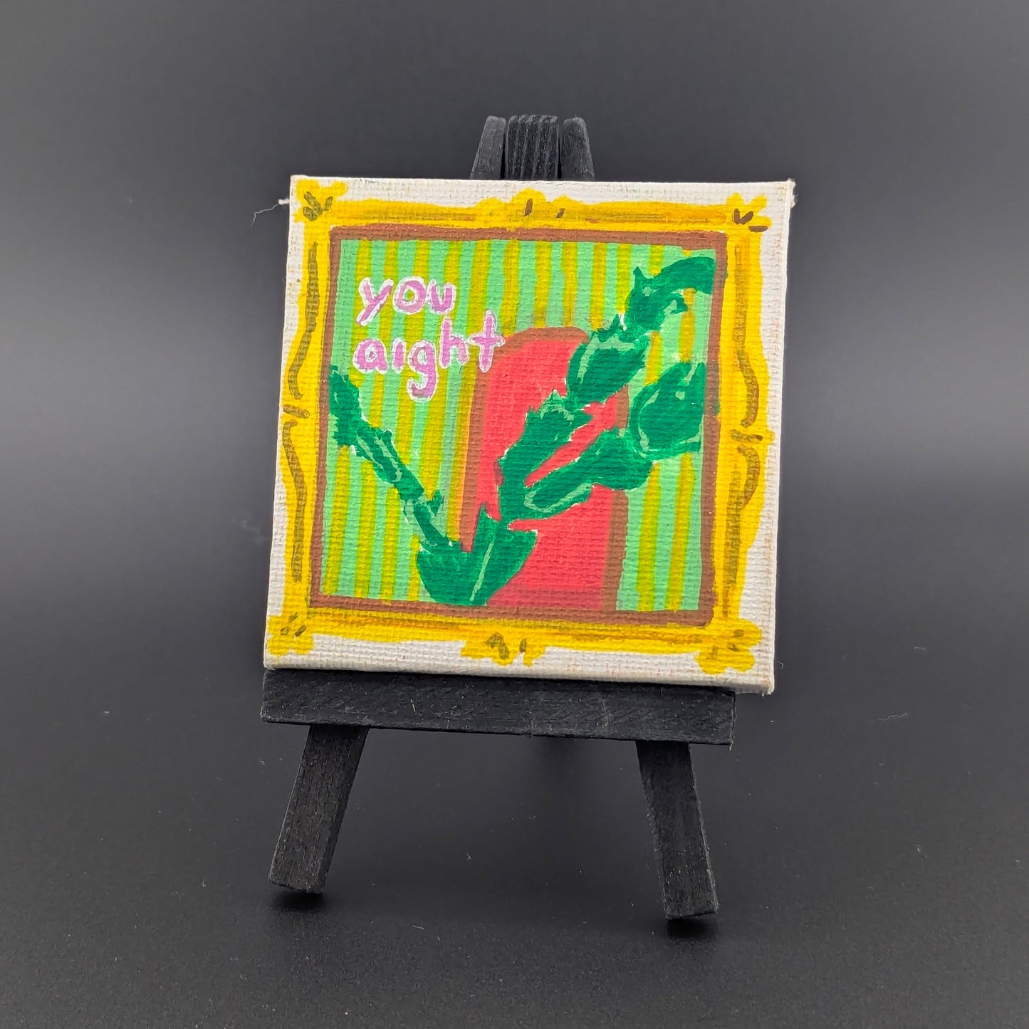 Compliment & Plant Series - Aight Xmas Cactus