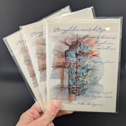 Jade Vine Field Notes Greeting Card